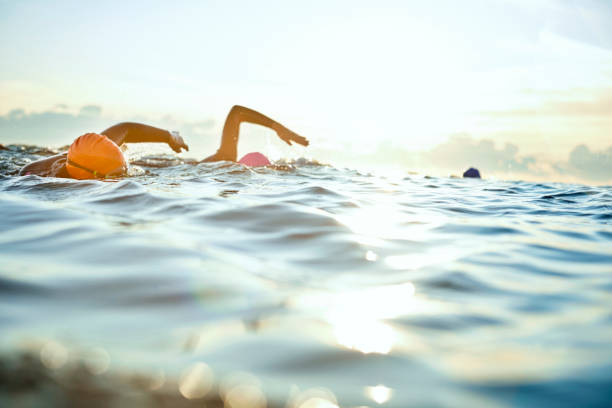 Swimmers in the open sea at sunset